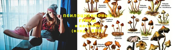 прущий лед Абдулино