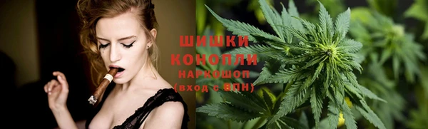 Альфа ПВП Осинники
